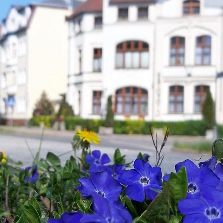 Kamienica Pod Kasztanami Swinoujscie Hotel Bagian luar foto