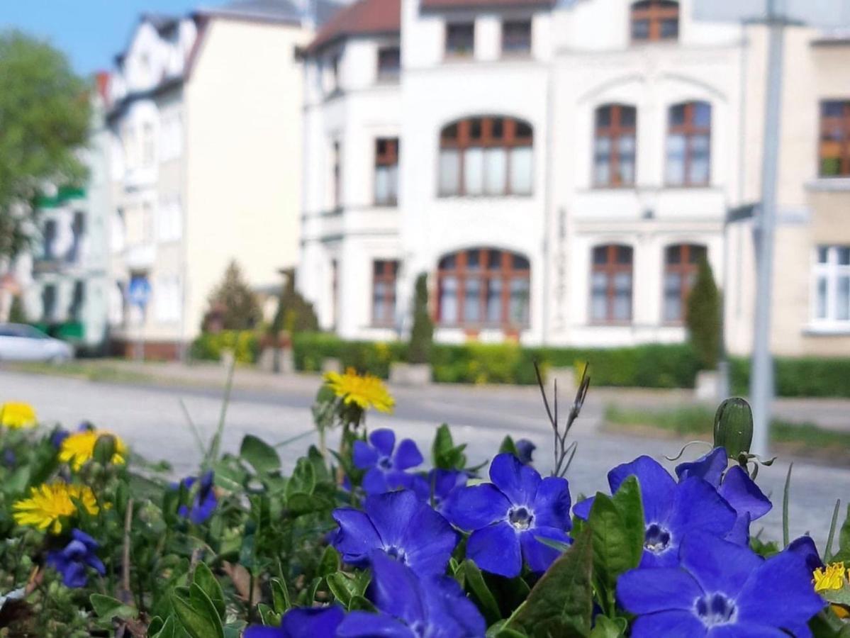 Kamienica Pod Kasztanami Swinoujscie Hotel Bagian luar foto